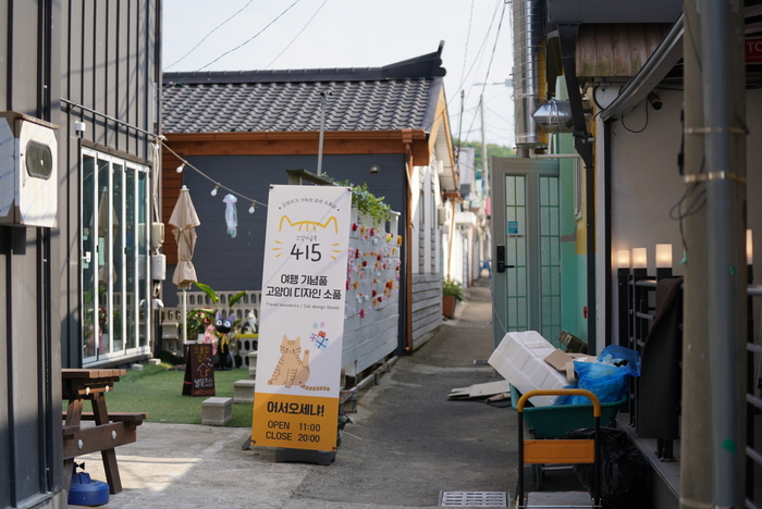 속초 조양동 새마을, ‘이재민 마을’에서 청년·관광지로 변신